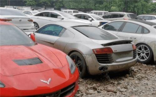 玛莎返场爆料视频,揭秘幕后故事与精彩瞬间